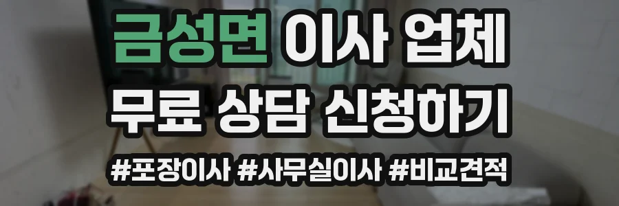 금성면 이사 업체