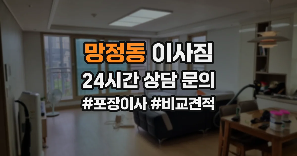 망정동 이사짐