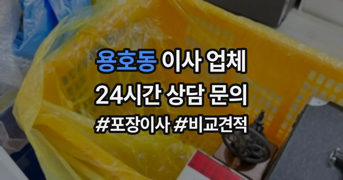 용호동 이사 업체