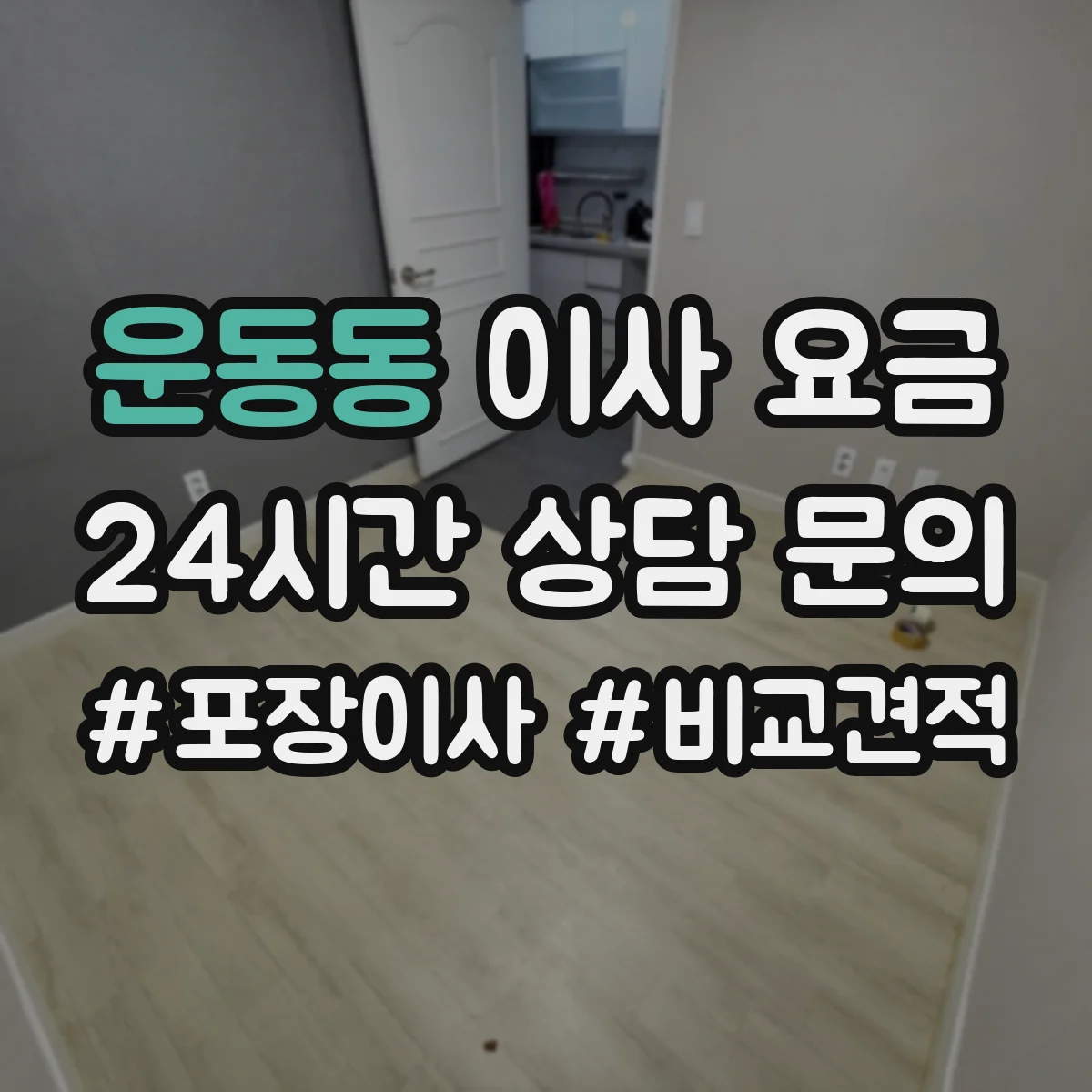 운동동 이사 요금