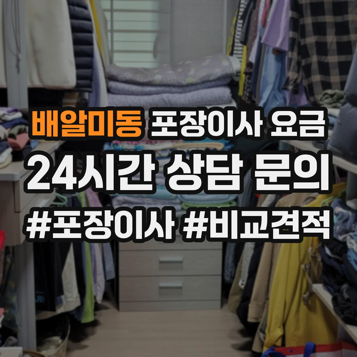 배알미동 포장이사 요금