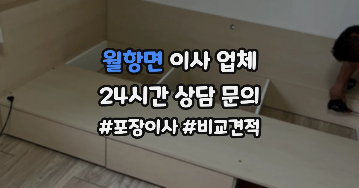 월항면 이사 업체