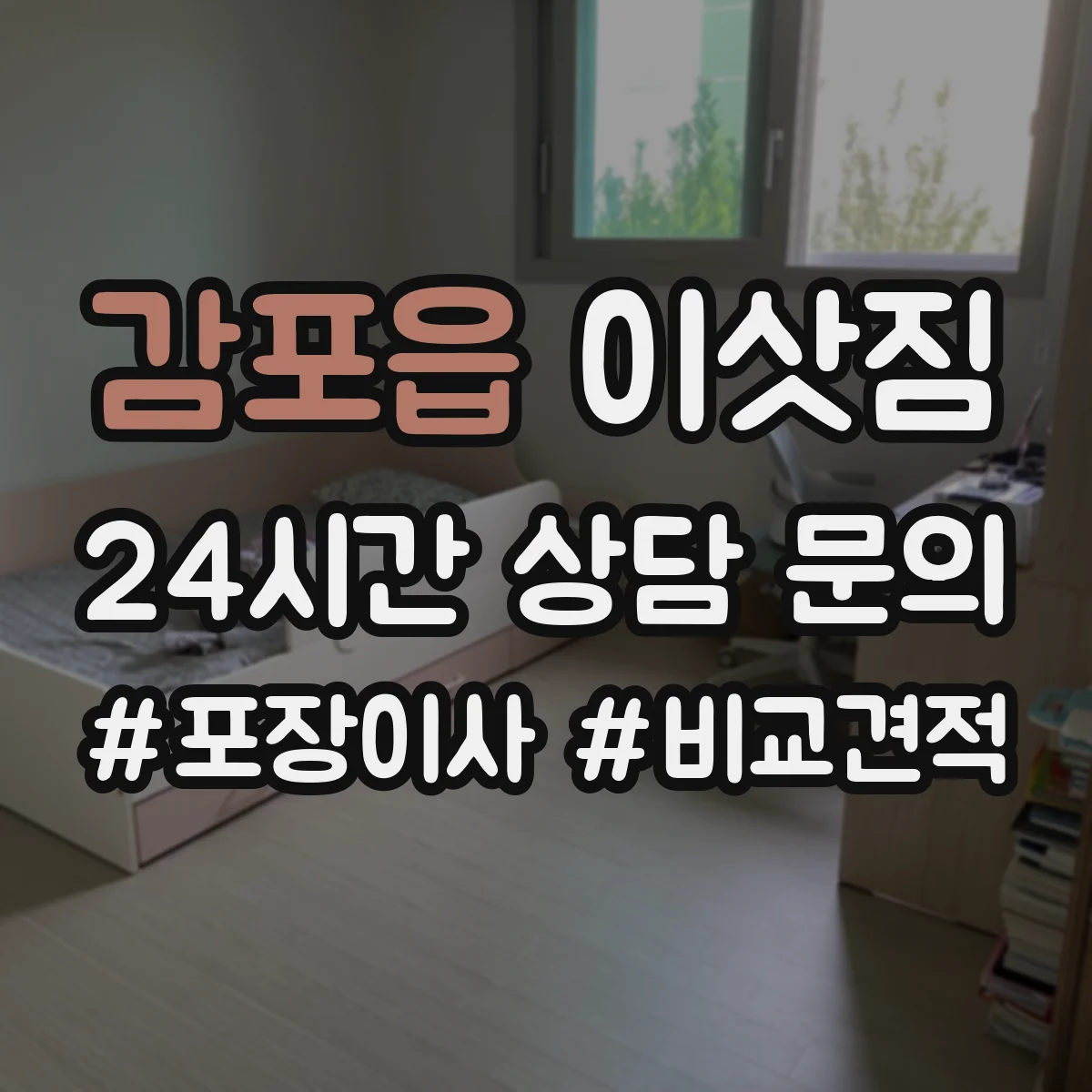 감포읍 이삿짐