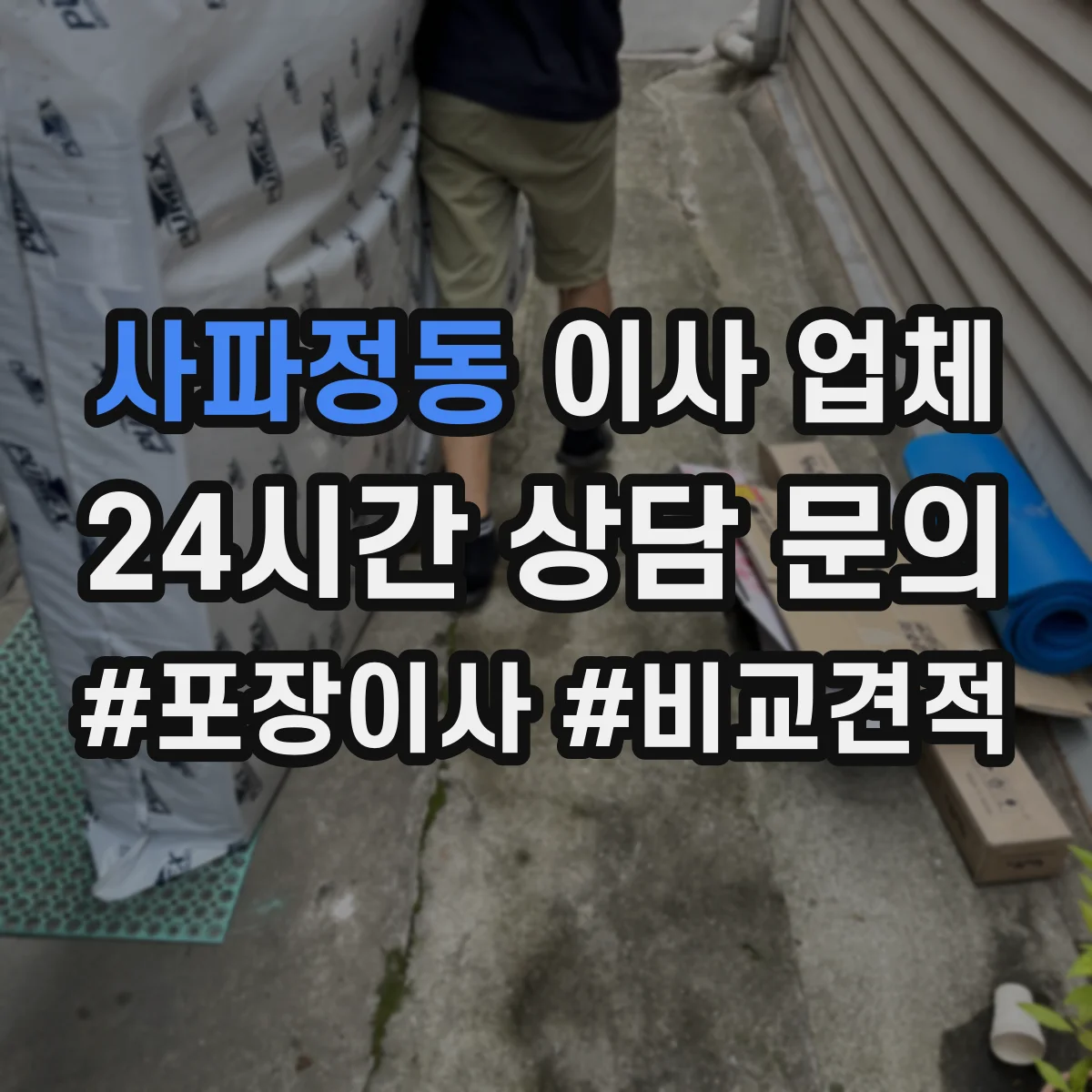 사파정동 이사 업체