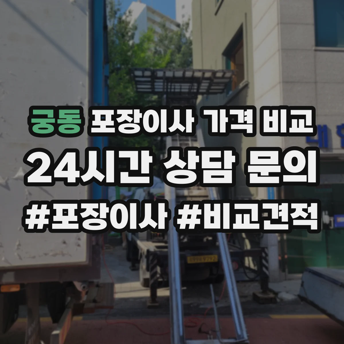 궁동 포장이사 가격 비교
