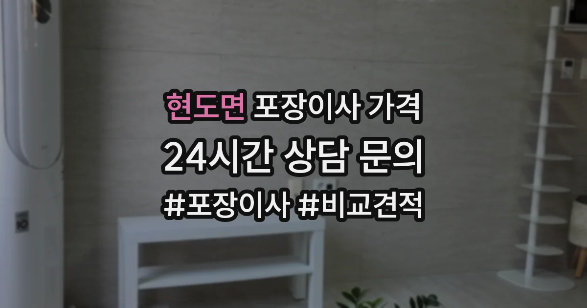 현도면 포장이사 가격