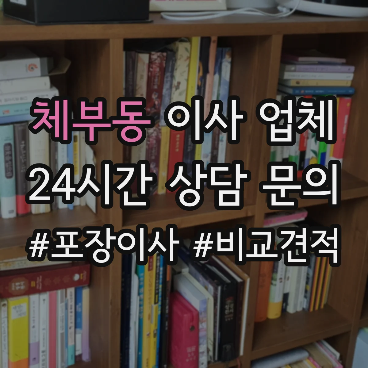 체부동 이사 업체