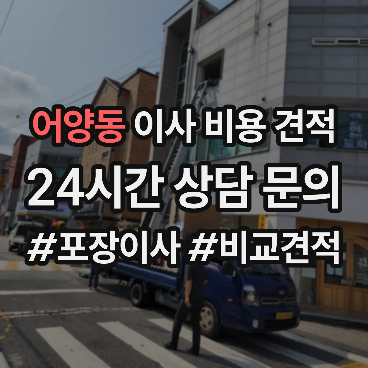 어양동 이사 비용 견적