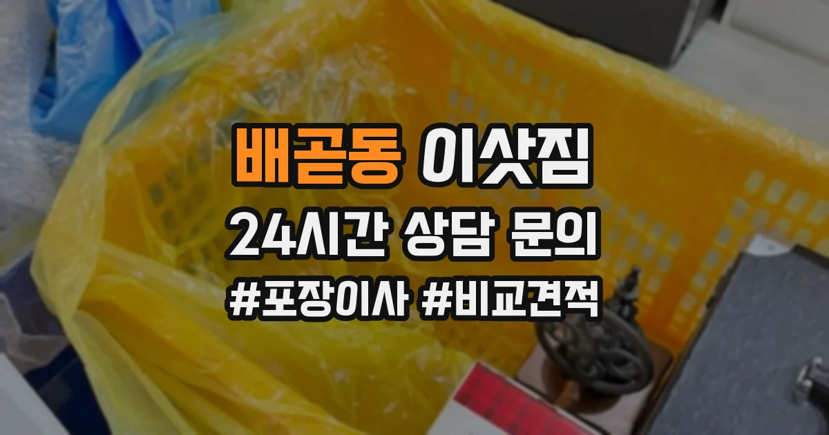 배곧동 이삿짐