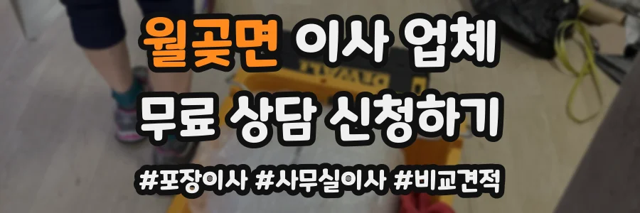 월곶면 이사 업체
