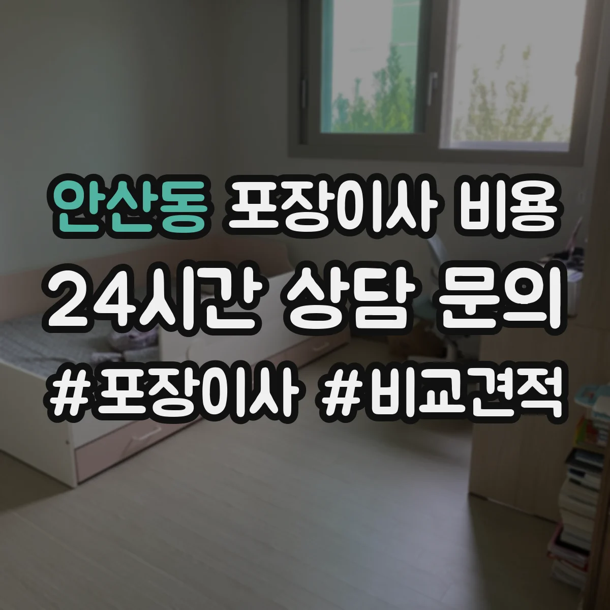안산동 포장이사 비용