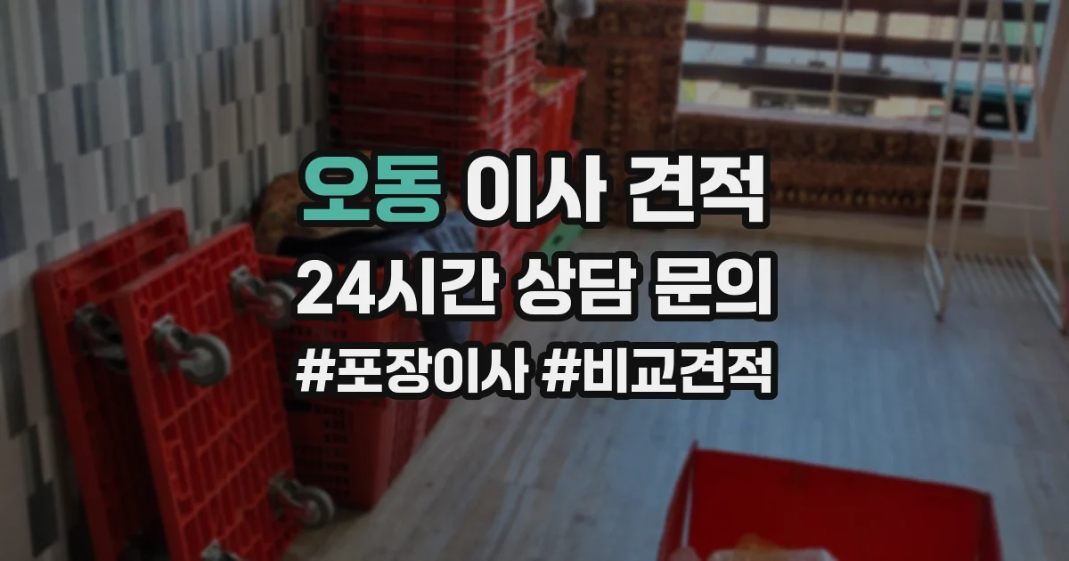 오동 이사 견적