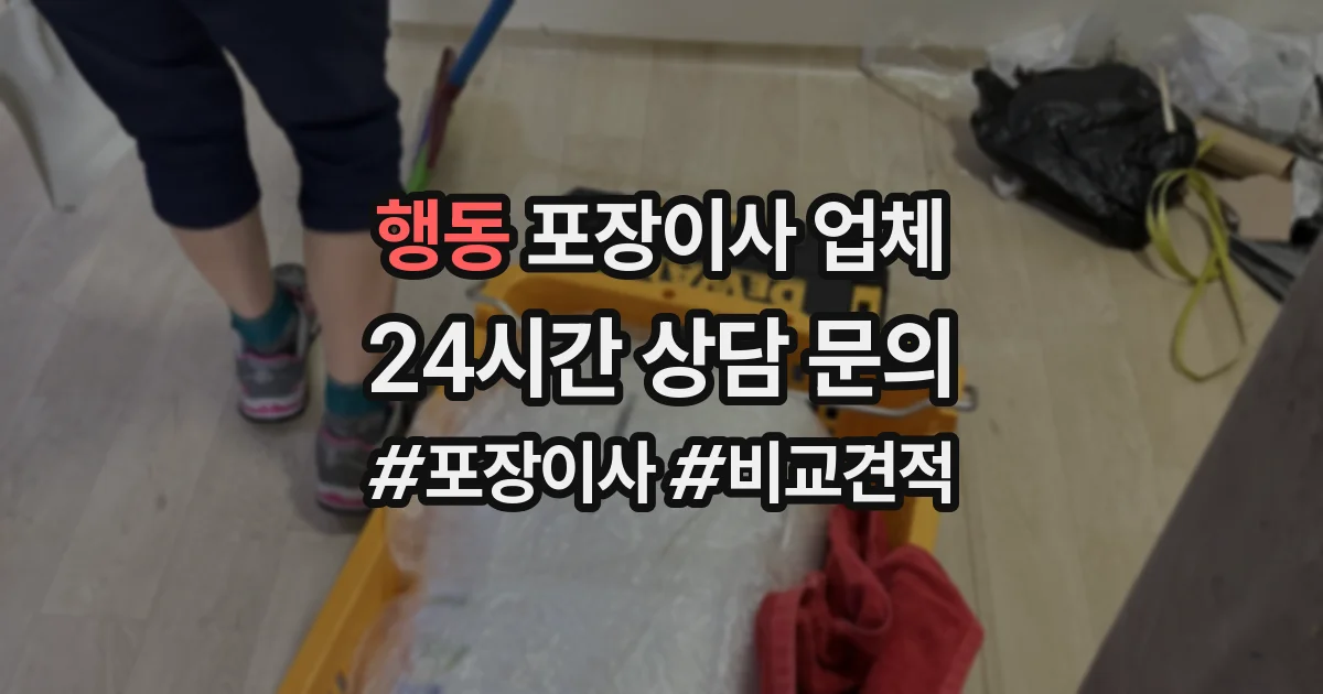 행동 포장이사 업체