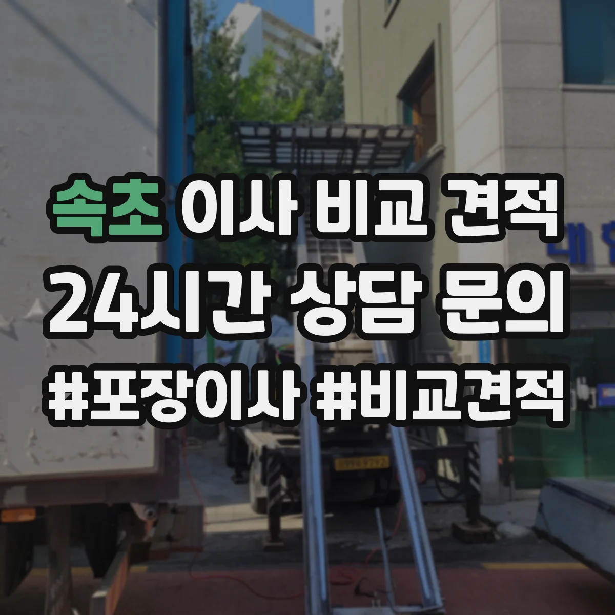 속초 이사 비교 견적