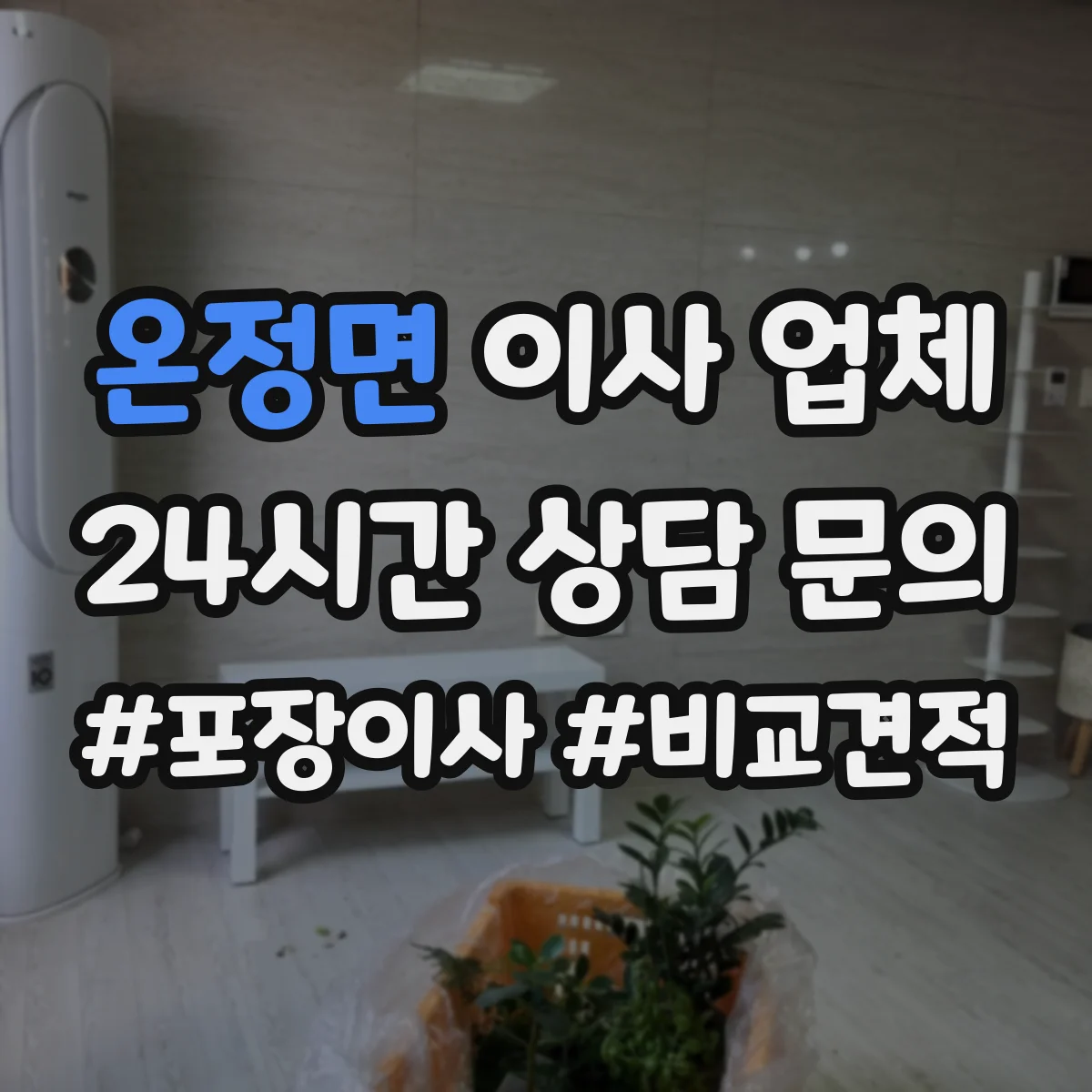 온정면 이사 업체