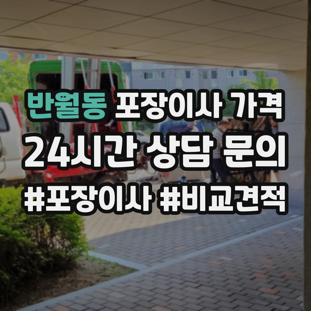 반월동 포장이사 가격