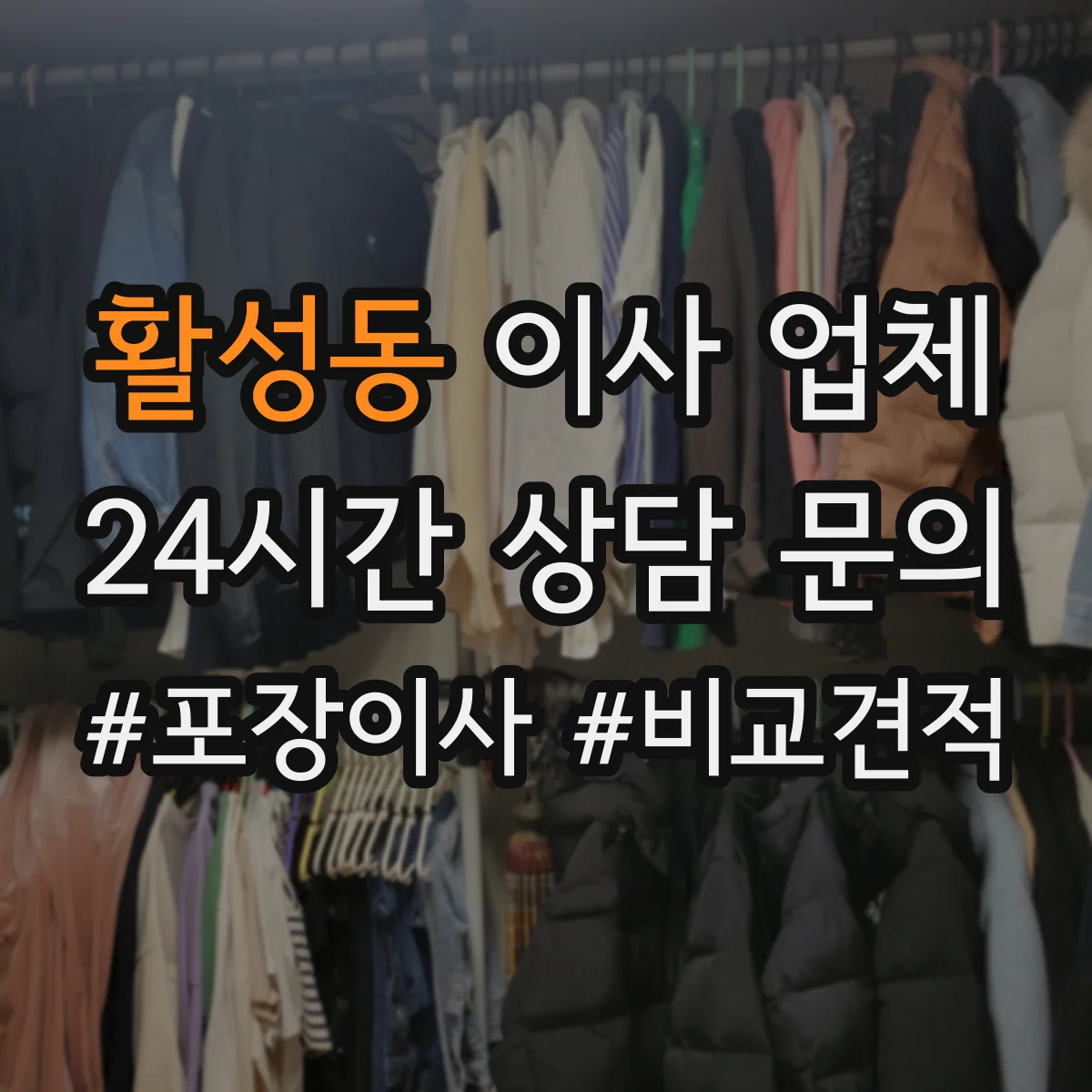 활성동 이사 업체