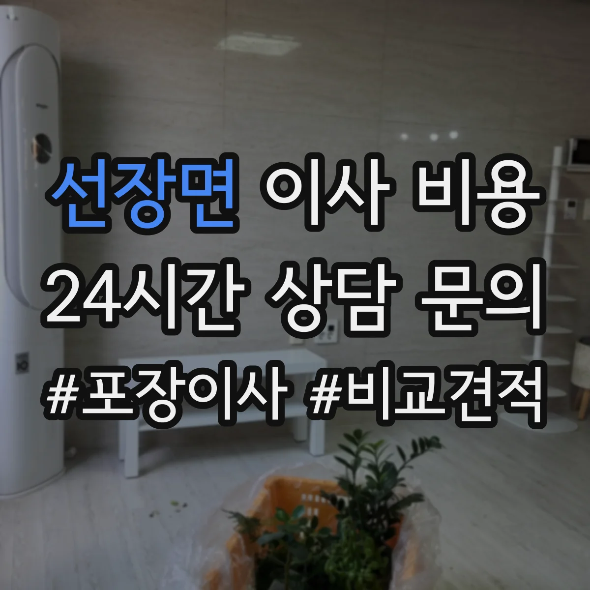 선장면 이사 비용