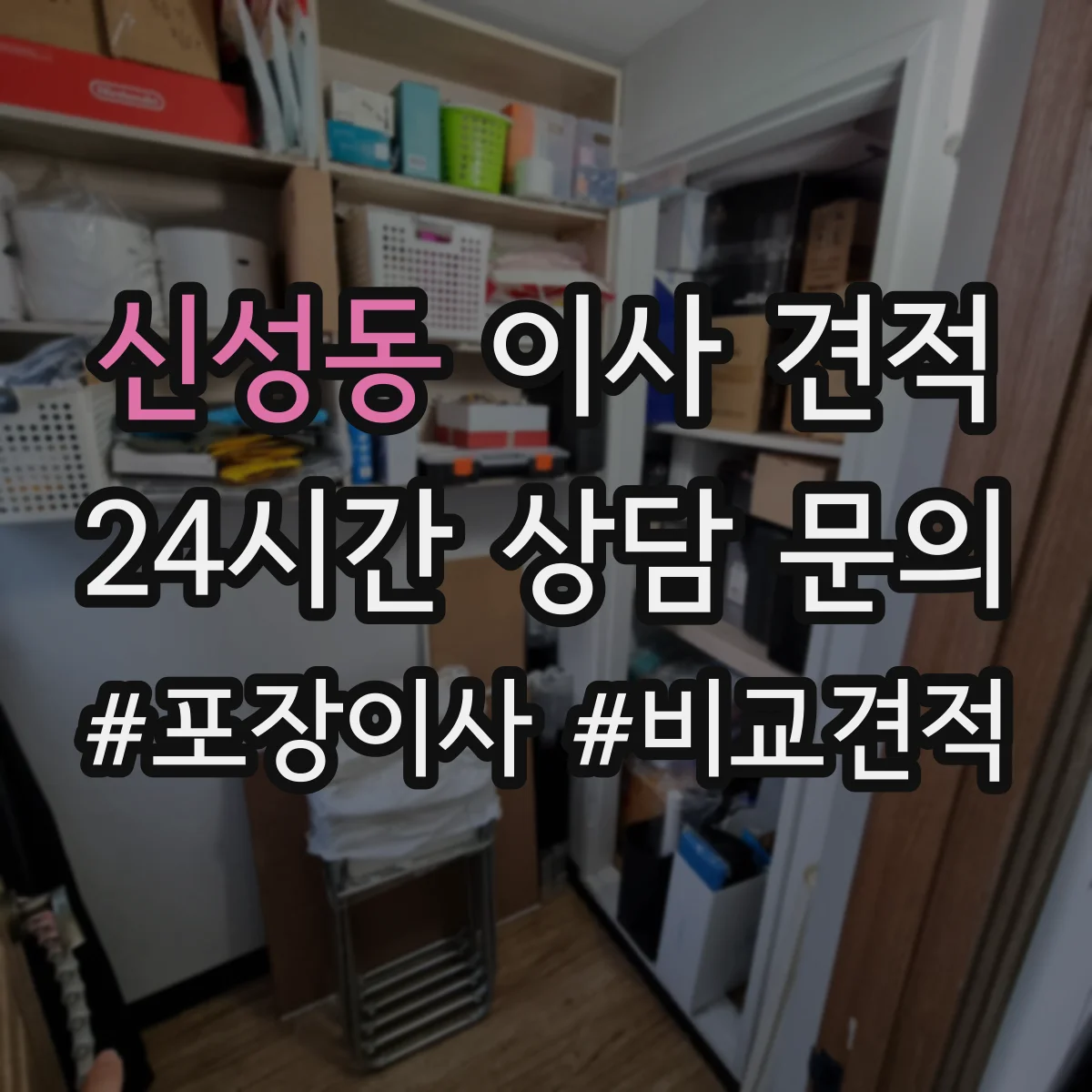 신성동 이사 견적