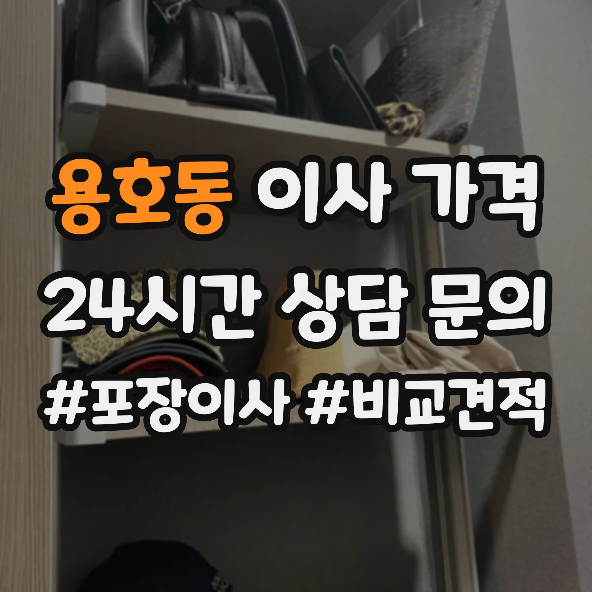 용호동 이사 가격