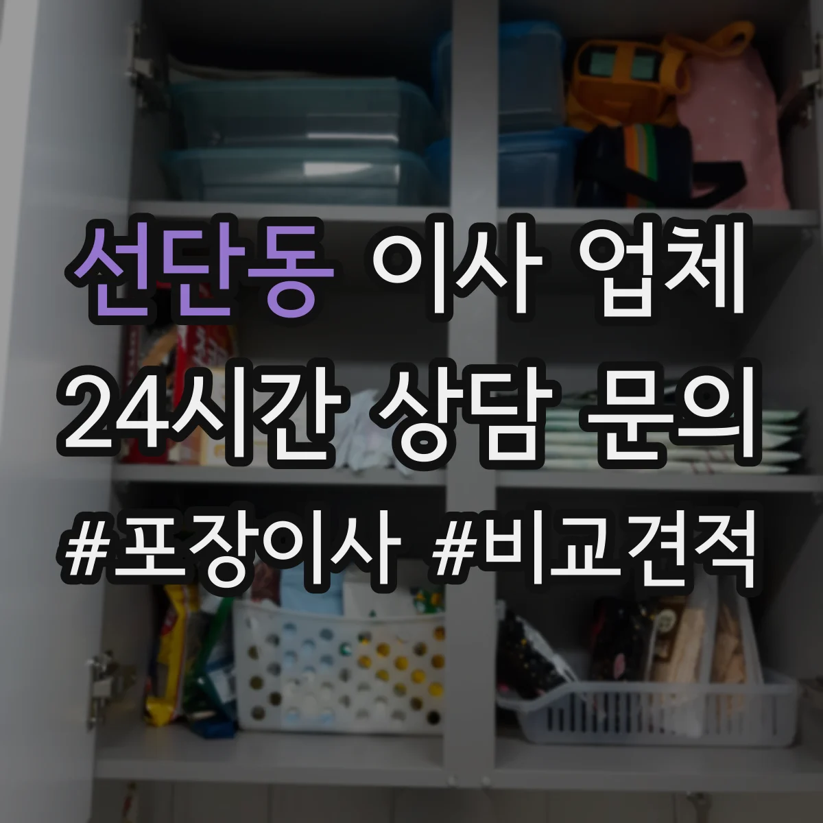 선단동 이사 업체