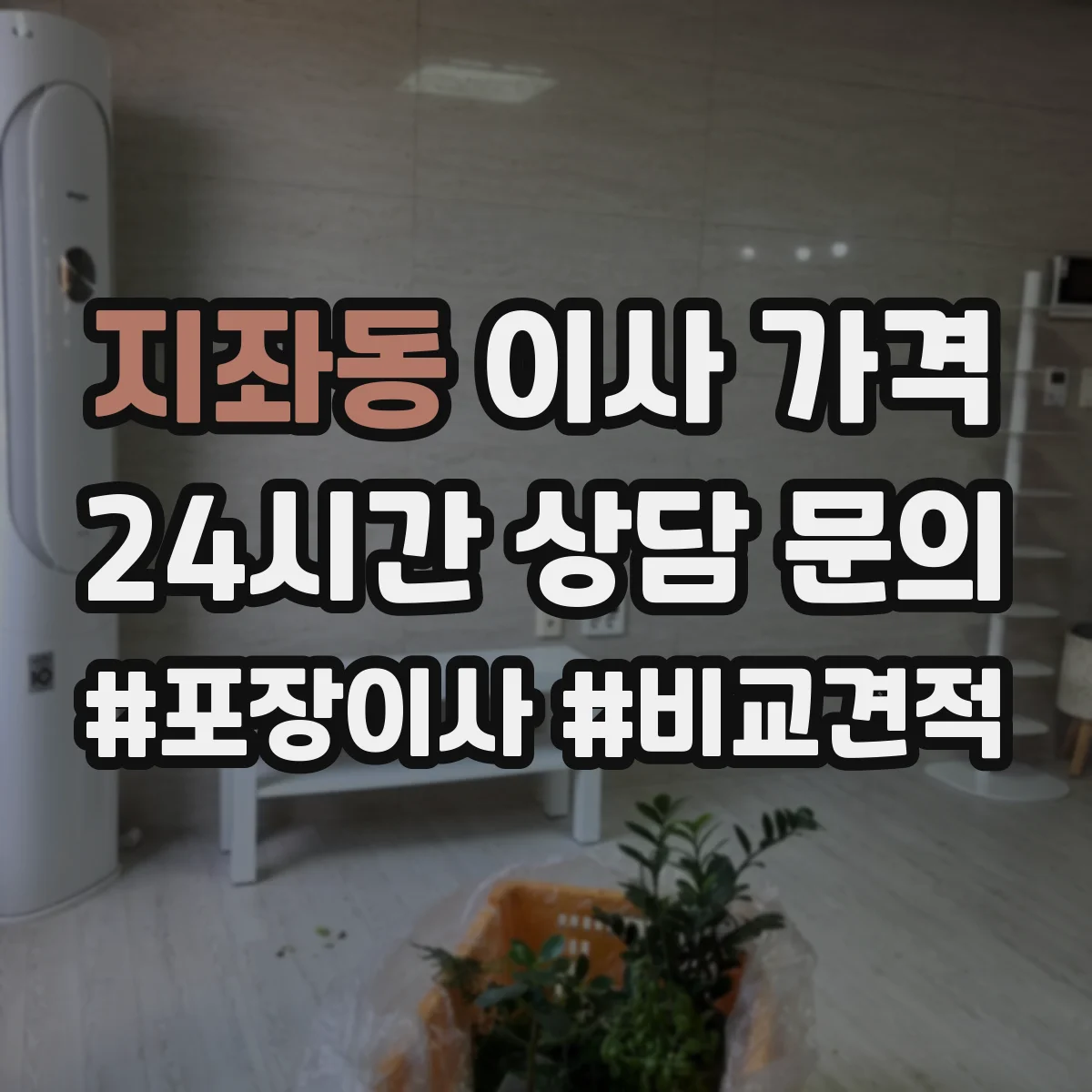 지좌동 이사 가격