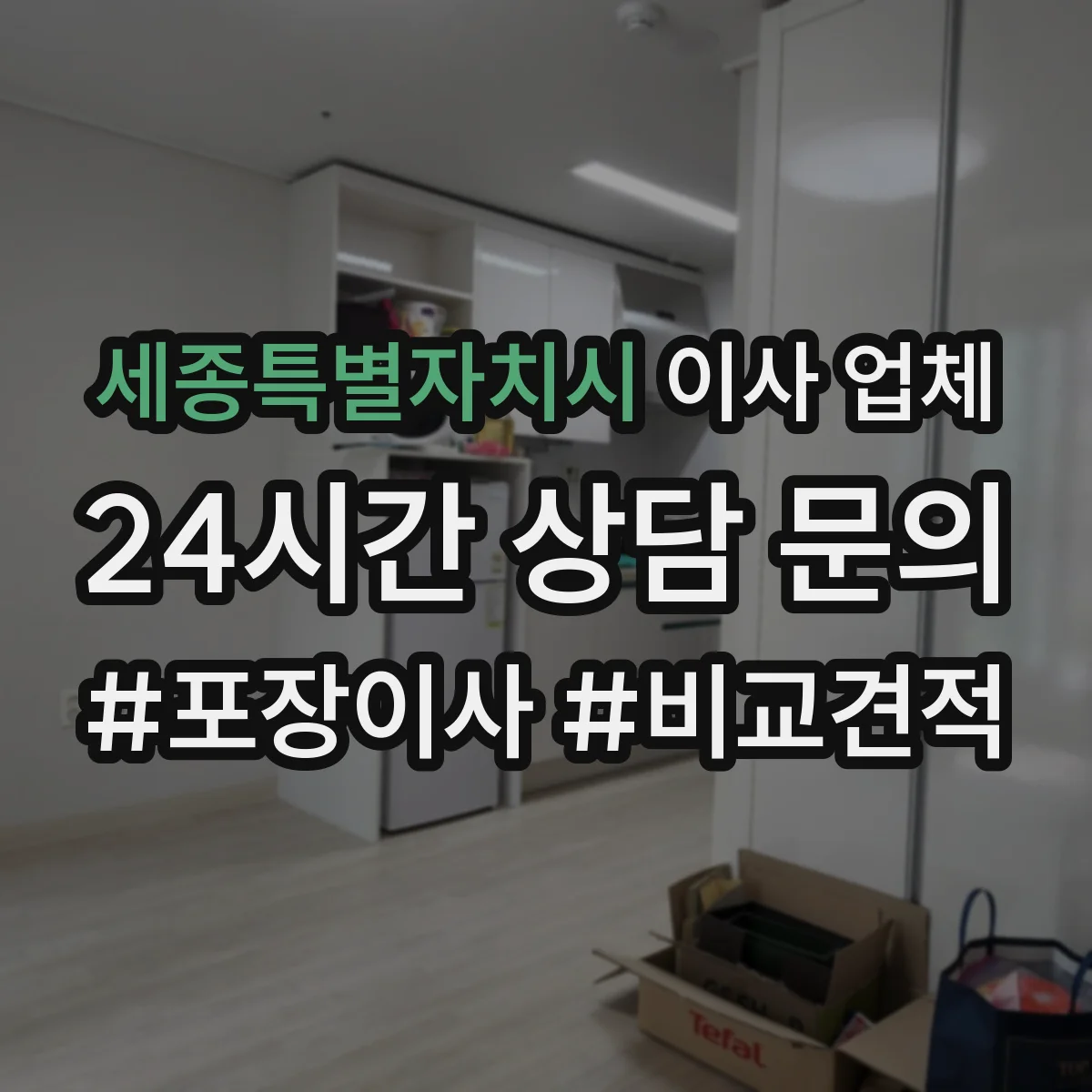 세종특별자치시 이사 업체