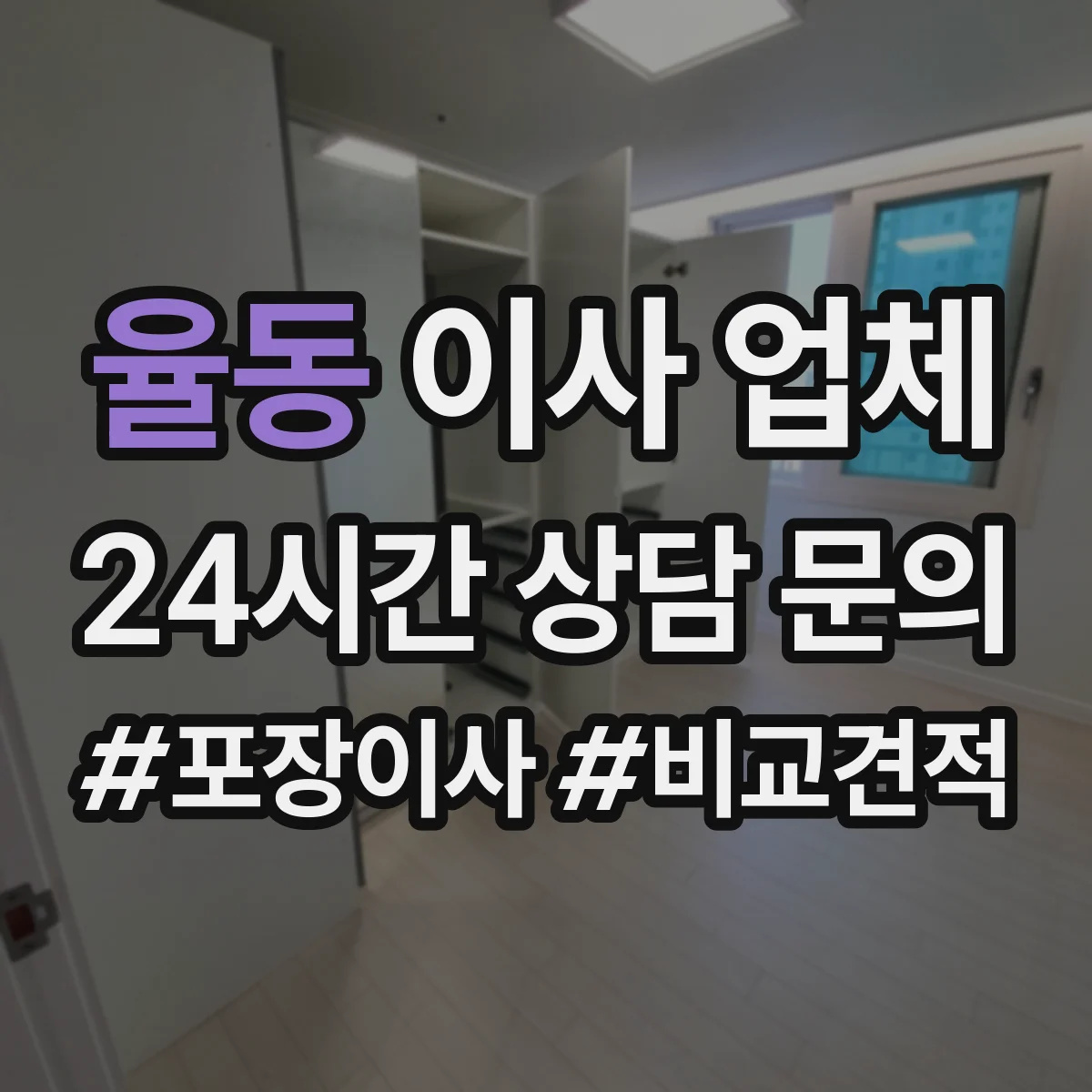 율동 이사 업체