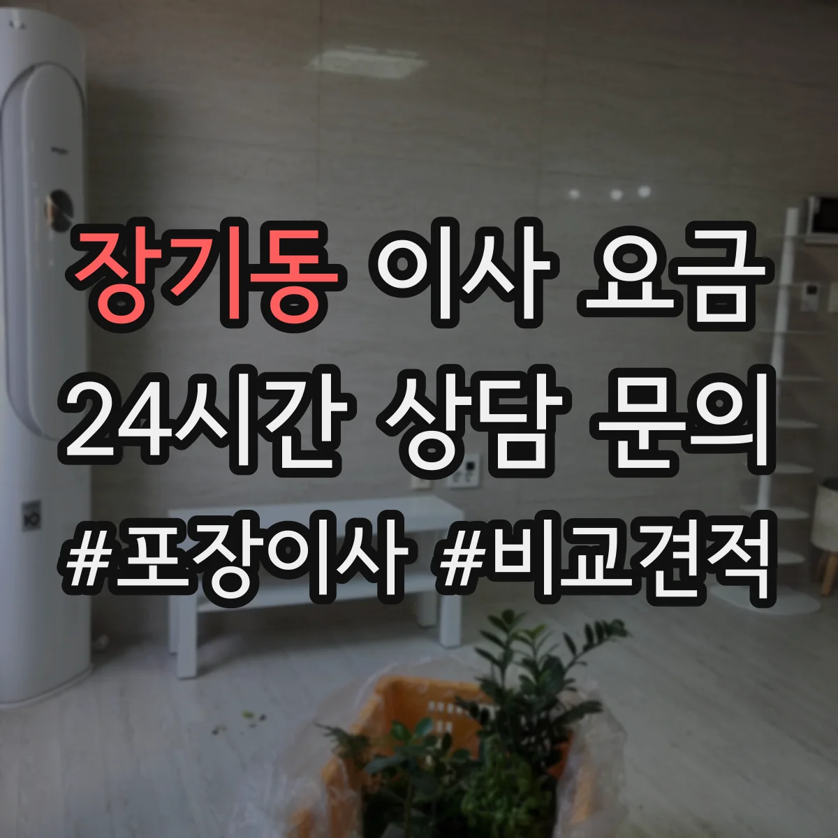 장기동 이사 요금