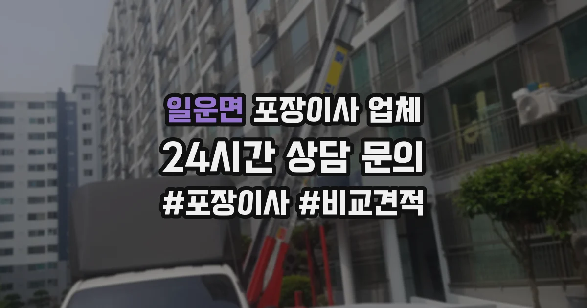 일운면 포장이사 업체