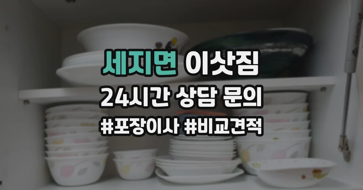 세지면 이삿짐