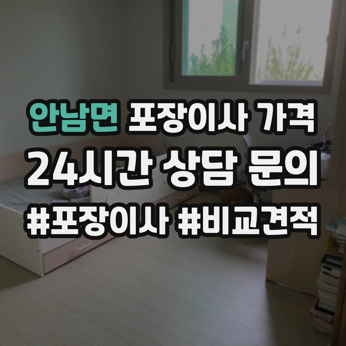 안남면 포장이사 가격