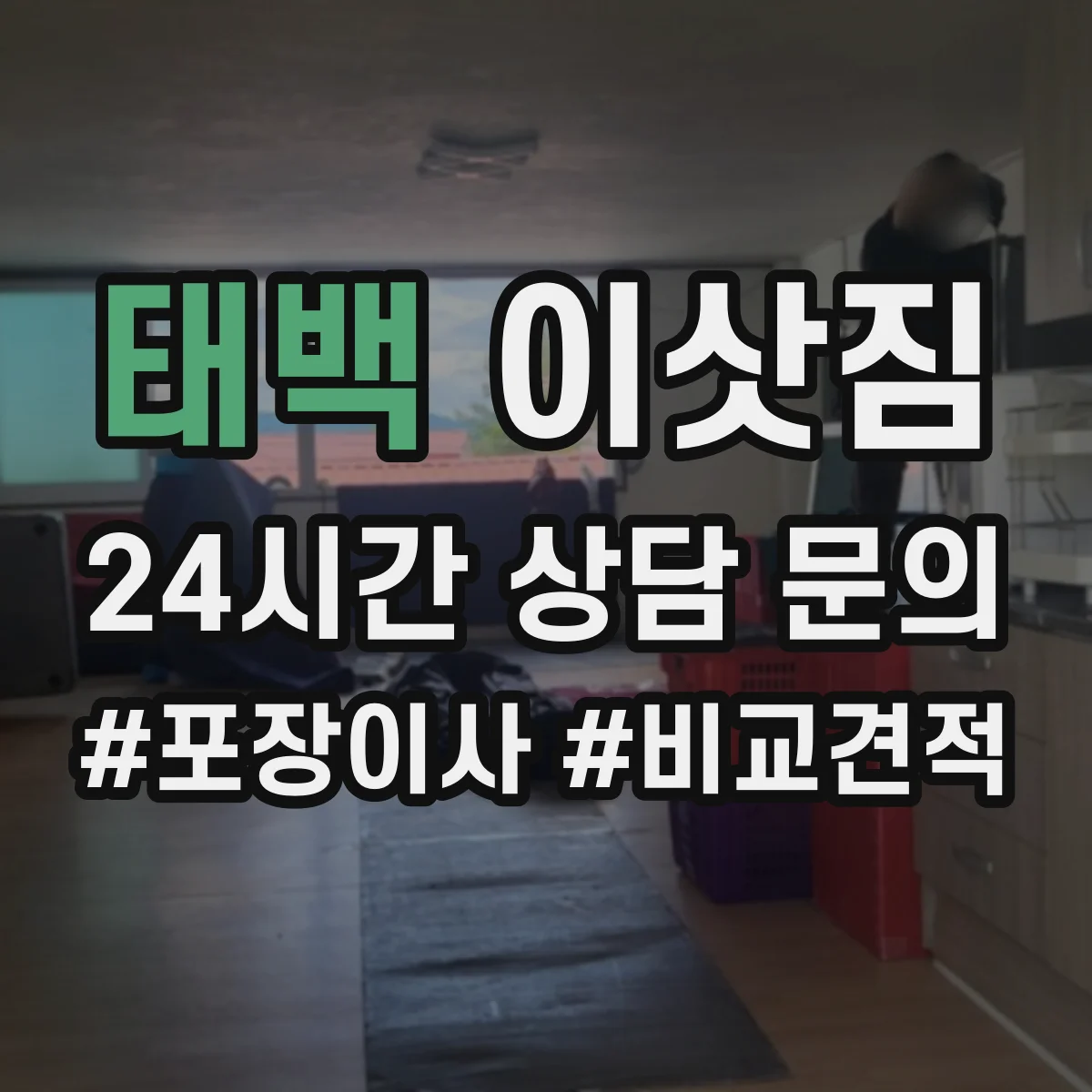 태백 이삿짐