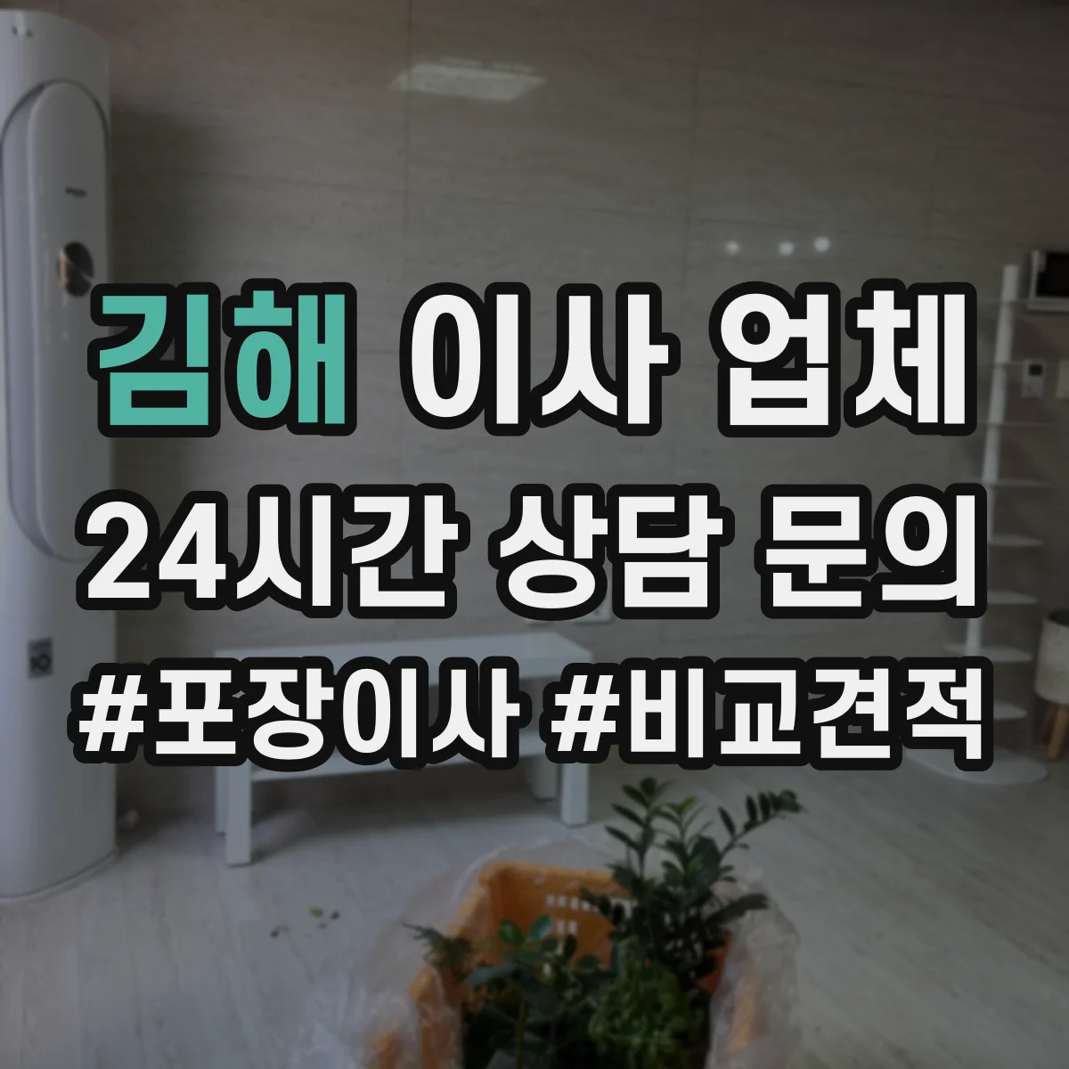 김해 이사 업체