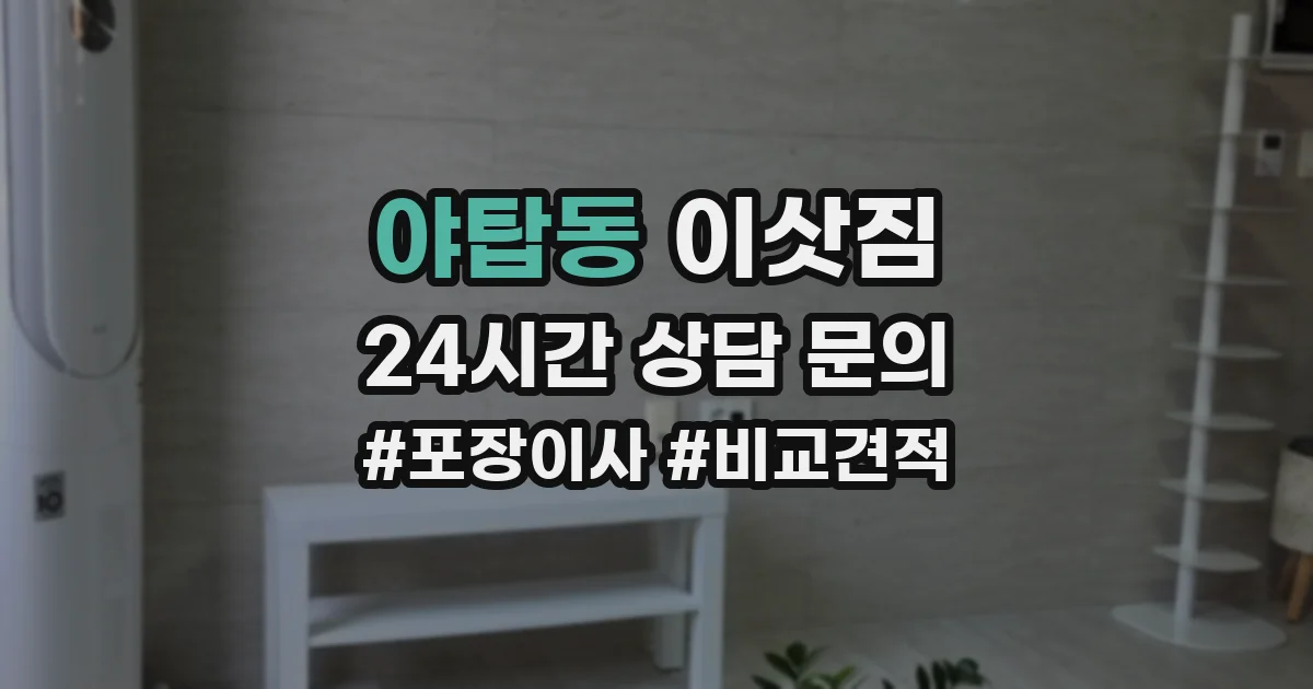 야탑동 이삿짐