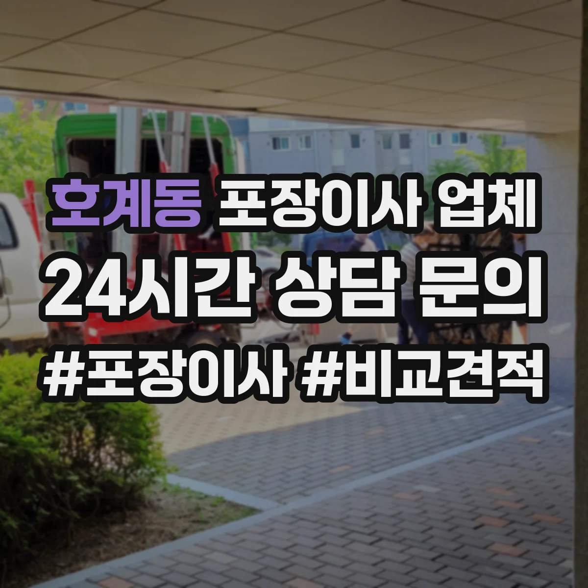 호계동 포장이사 업체