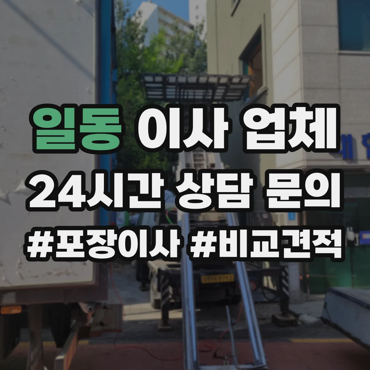 일동 이사 업체