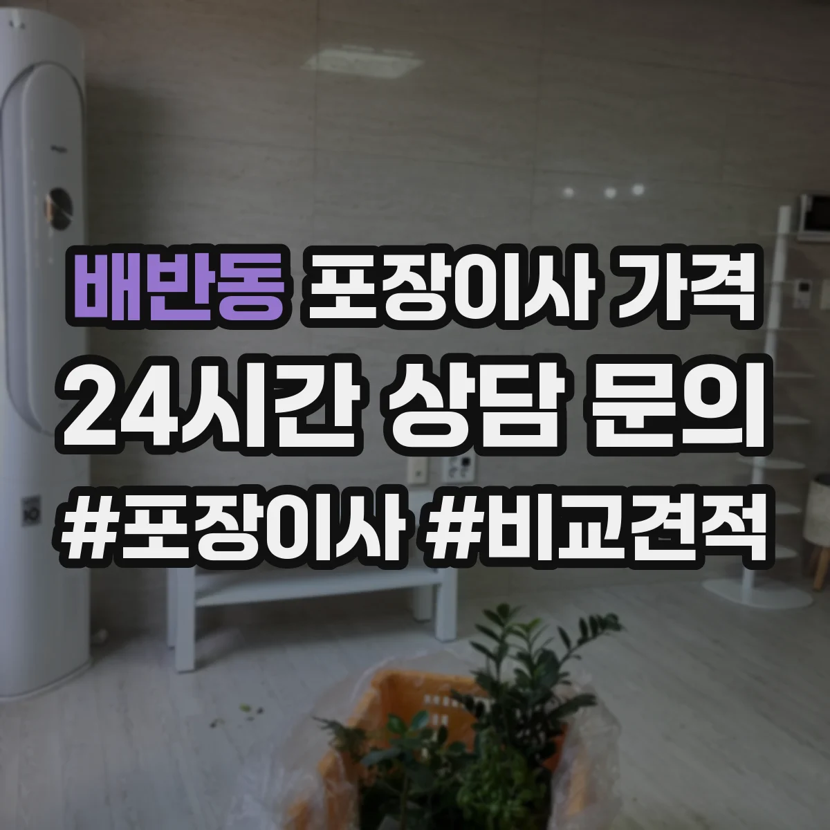 배반동 포장이사 가격
