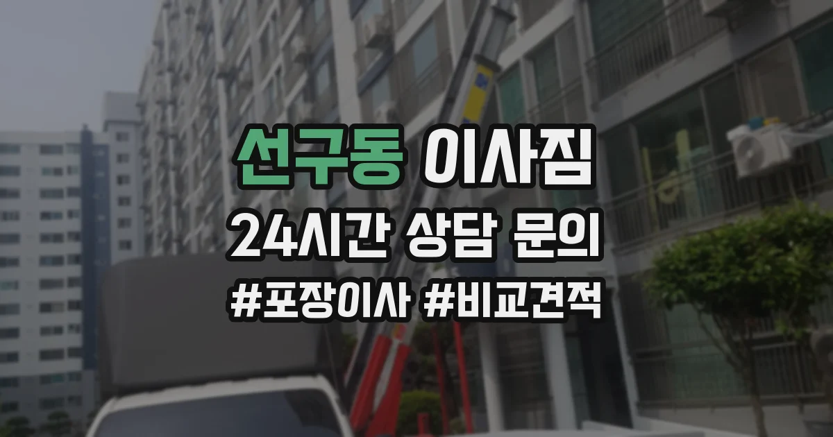 선구동 이사짐