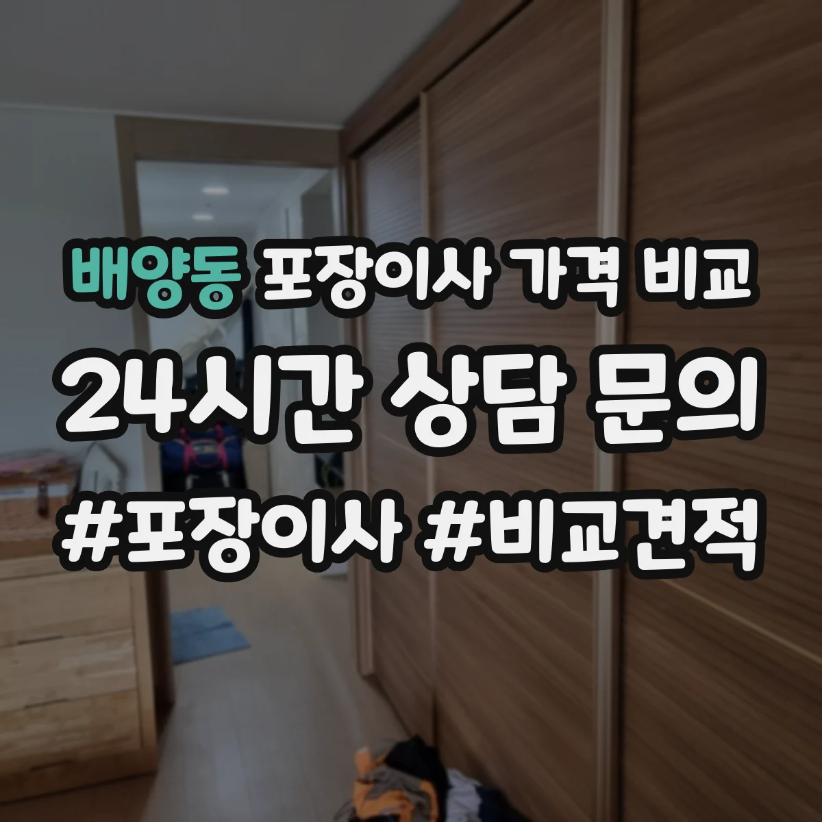배양동 포장이사 가격 비교