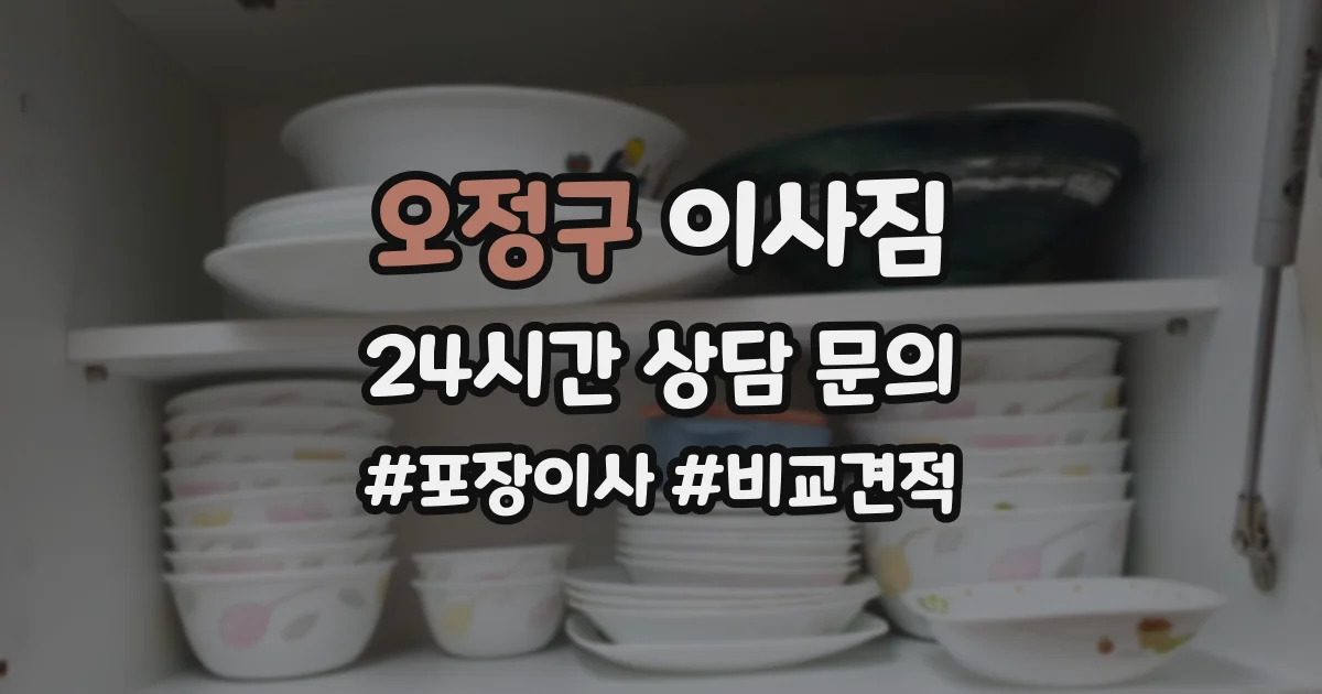 오정구 이사짐