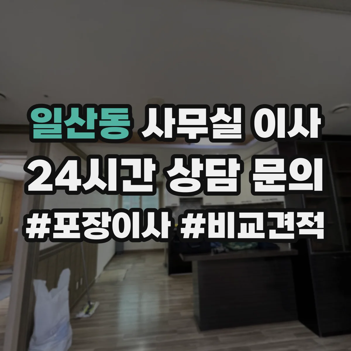 일산동 사무실 이사