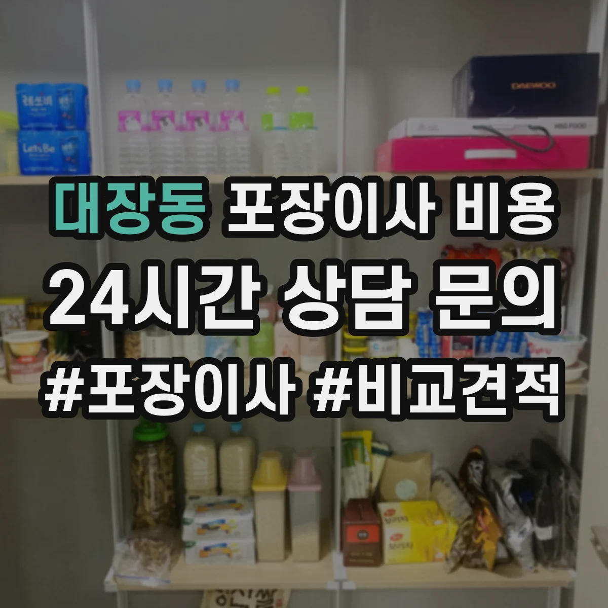 대장동 포장이사 비용