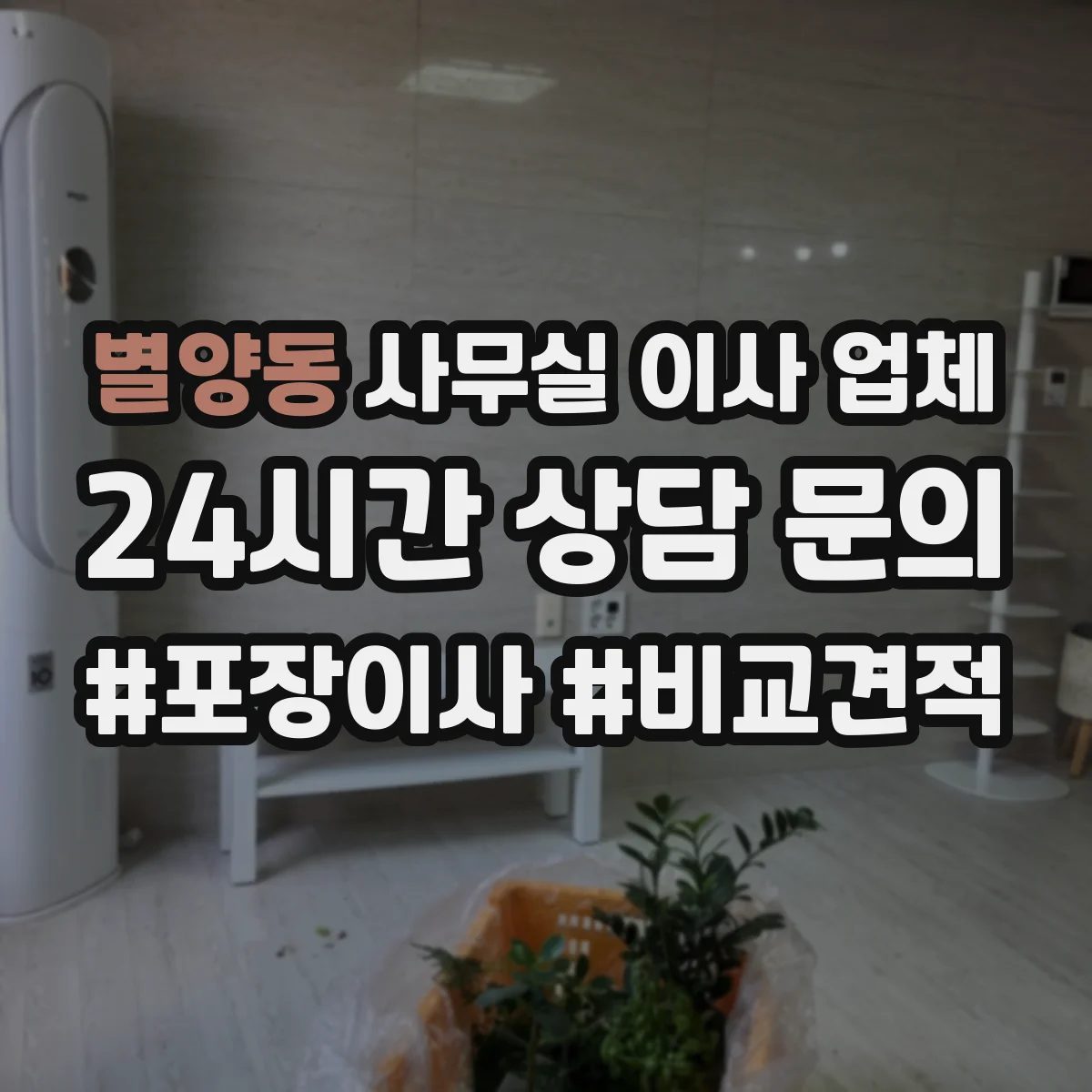 별양동 사무실 이사 업체