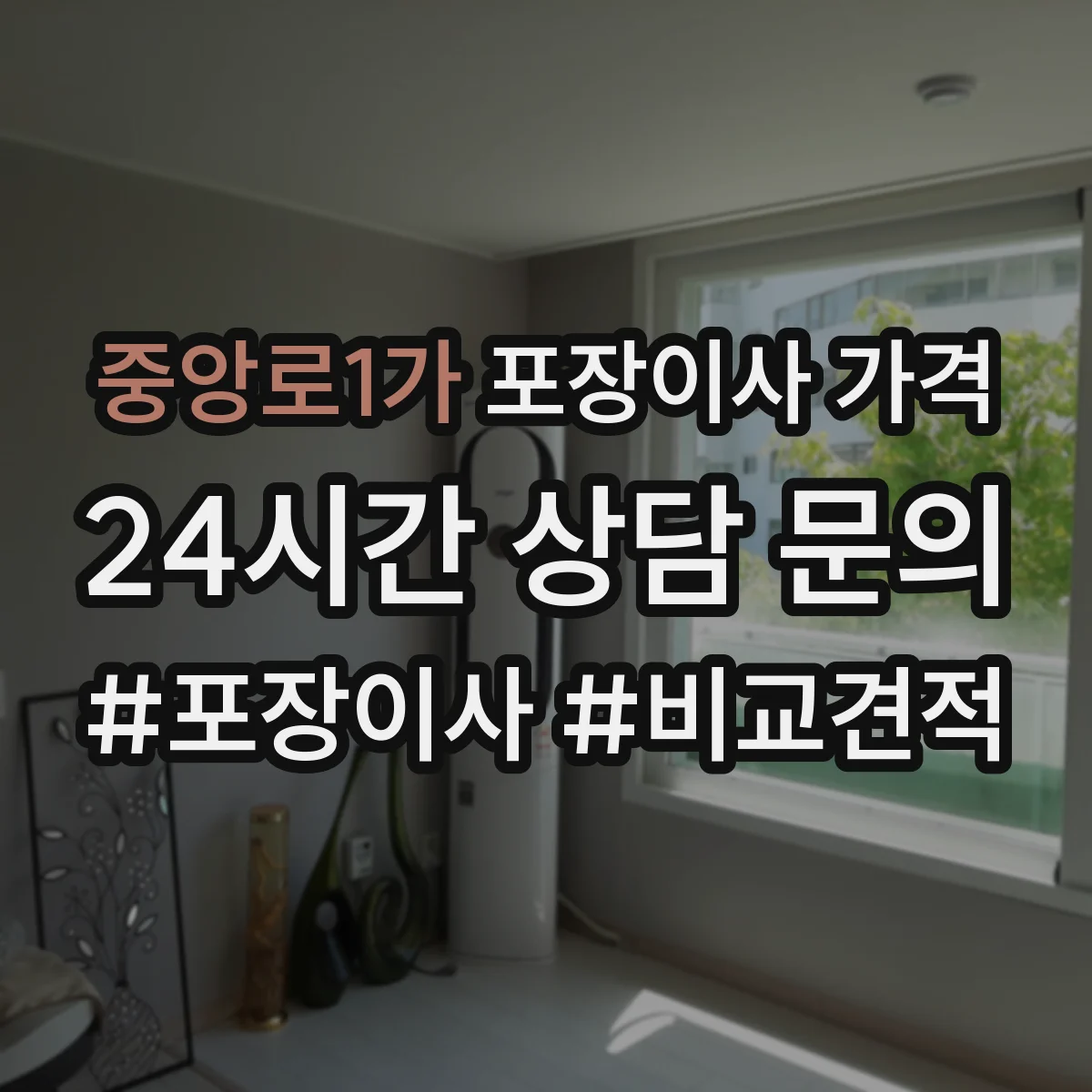 중앙로1가 포장이사 가격