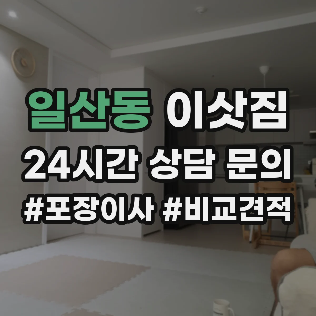 일산동 이삿짐
