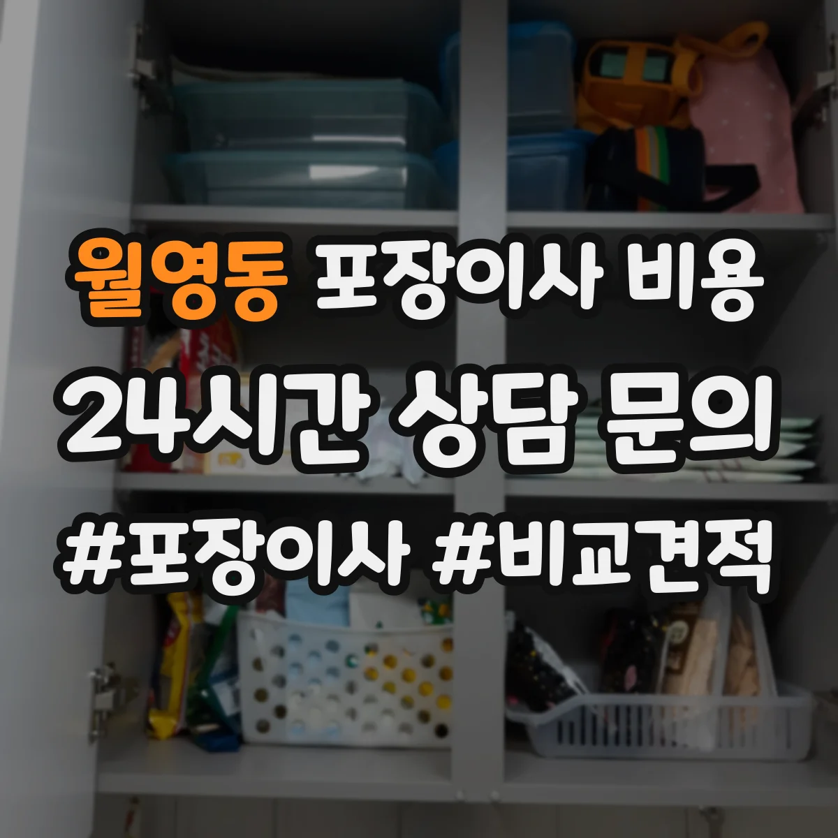 월영동 포장이사 비용