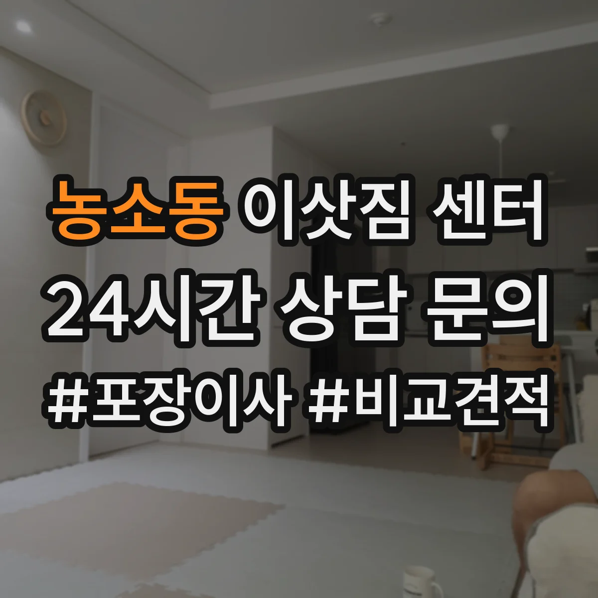 농소동 이삿짐 센터