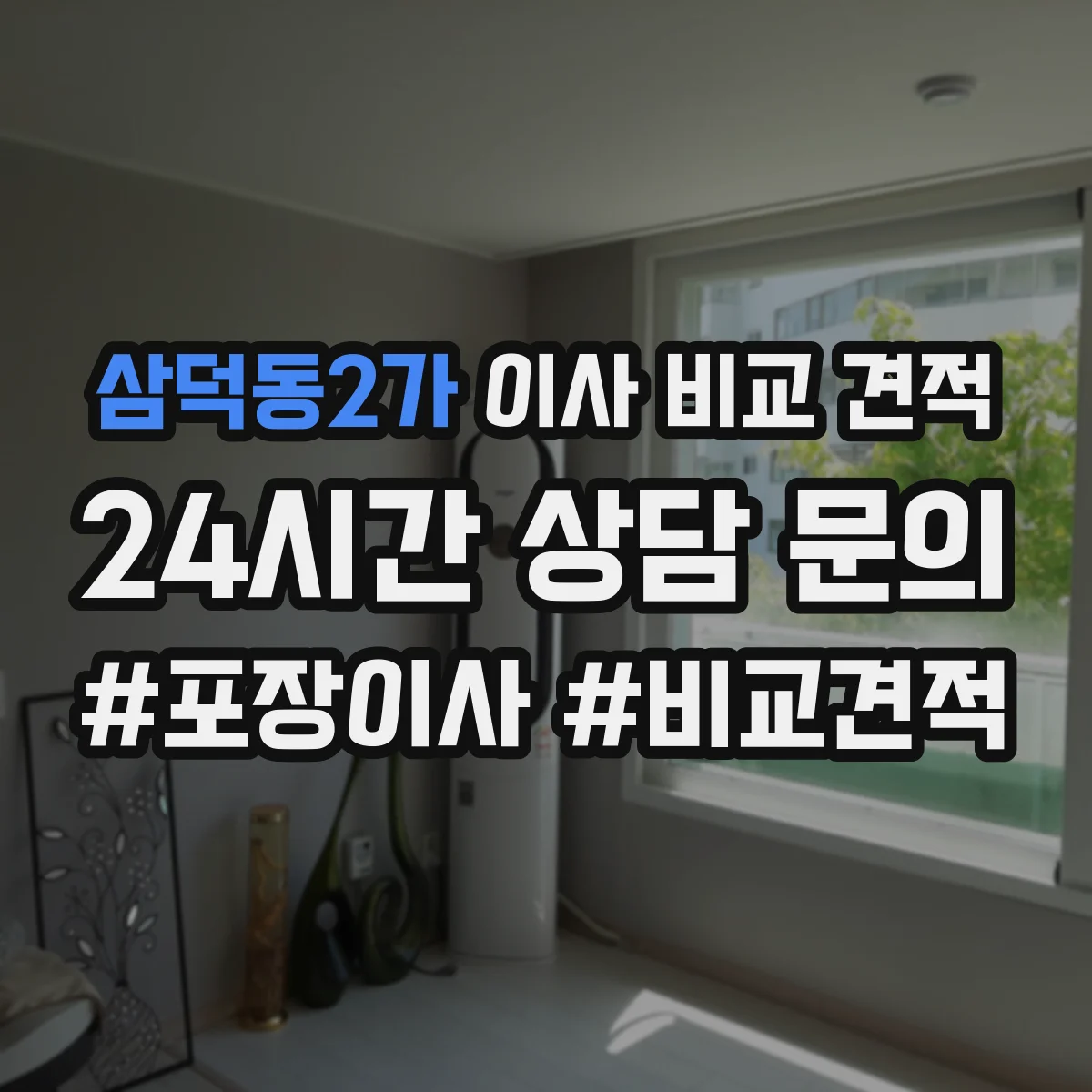삼덕동2가 이사 비교 견적