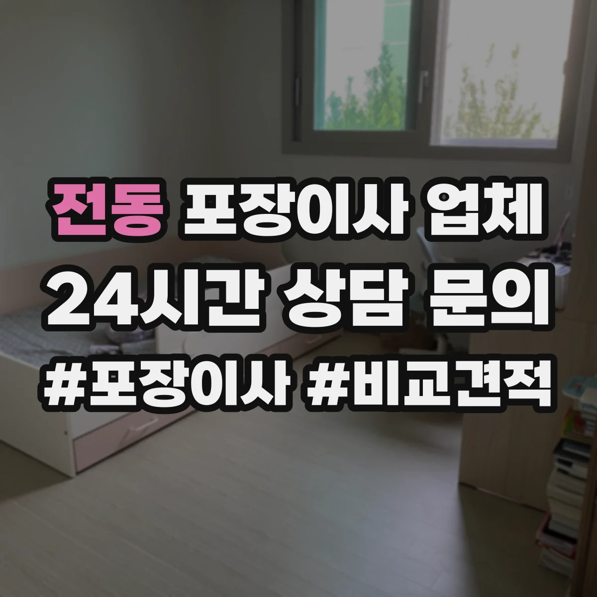전동 포장이사 업체